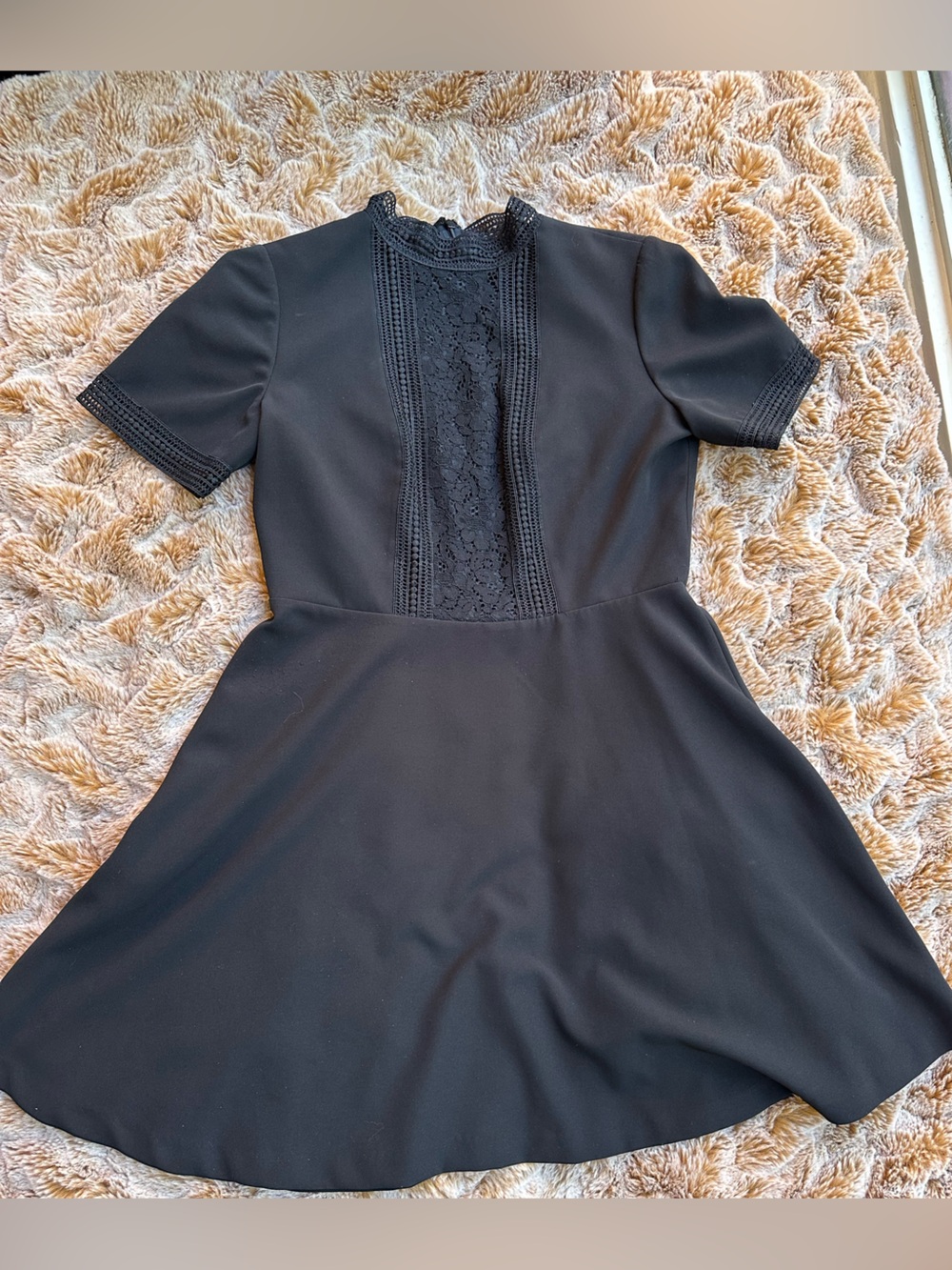 Tahari Arthur S. Levine Black Lace Inset Fit & Flare Dress Petite 10P